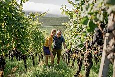 Oberkircher Weinwanderung
