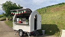 Pinsawagen