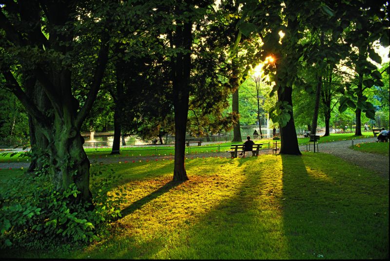 Jardin municipal de Oberkirch