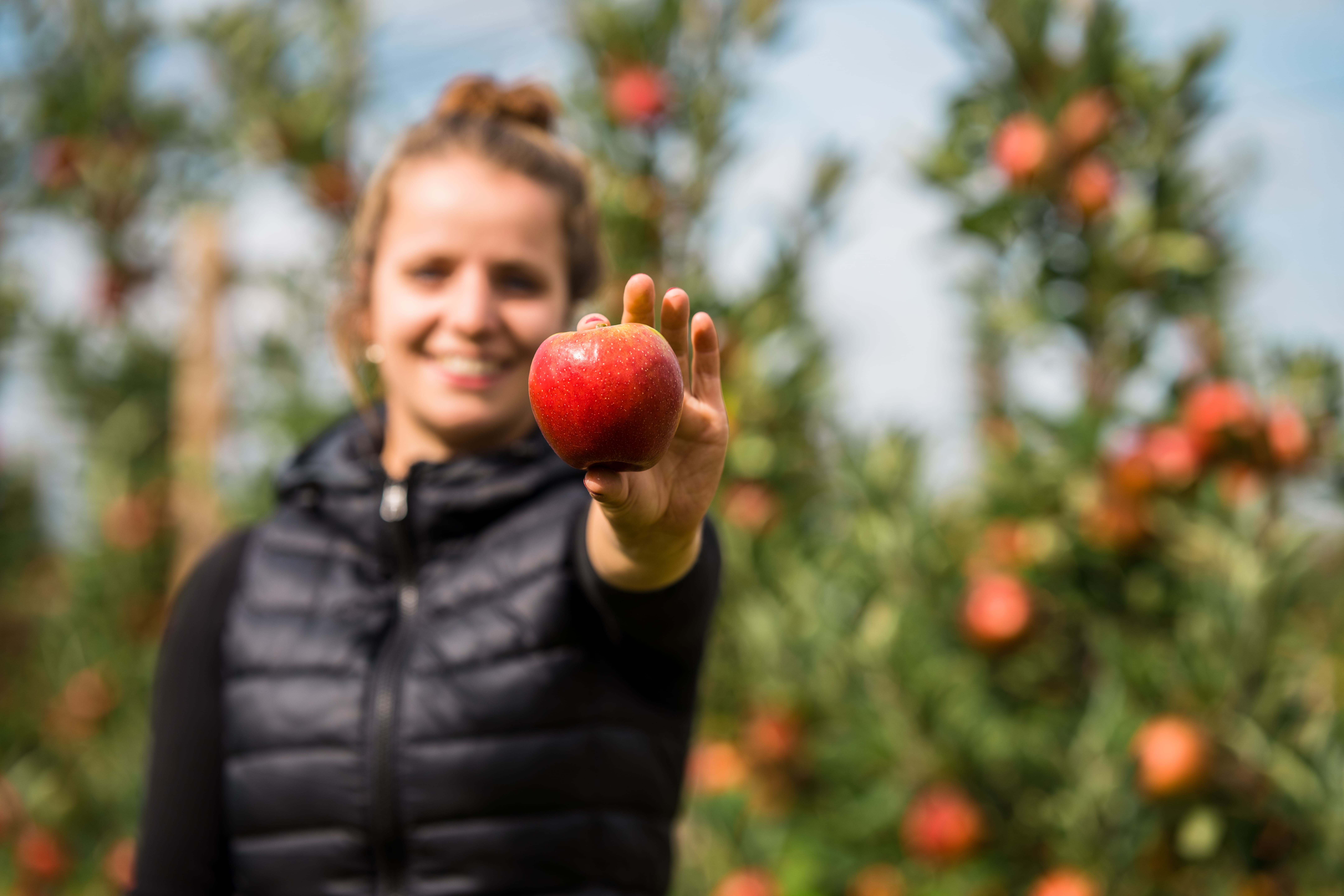 Apfel "Fräulein"_Quelle OGM