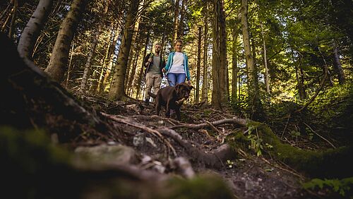 Pärchen mit Hund im Wald unterwegs