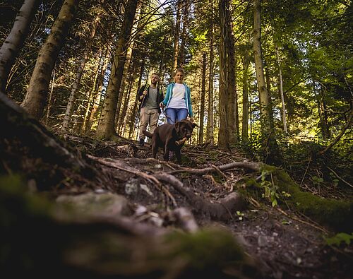 Pärchen mit Hund im Wald unterwegs